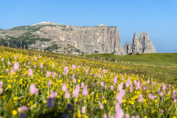 Wander-Tipp von Norbert Rier: Aufstieg zum Schlernhaus. Foto: Seiser Alm Marketing Helmuth Rier