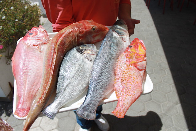 Besser kann frischer Fisch nicht schmecken als im Restaurant „A peixeria“, Foto, Heiner Sieger