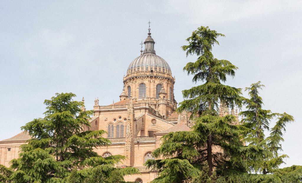 Salamanca_Kathedrale