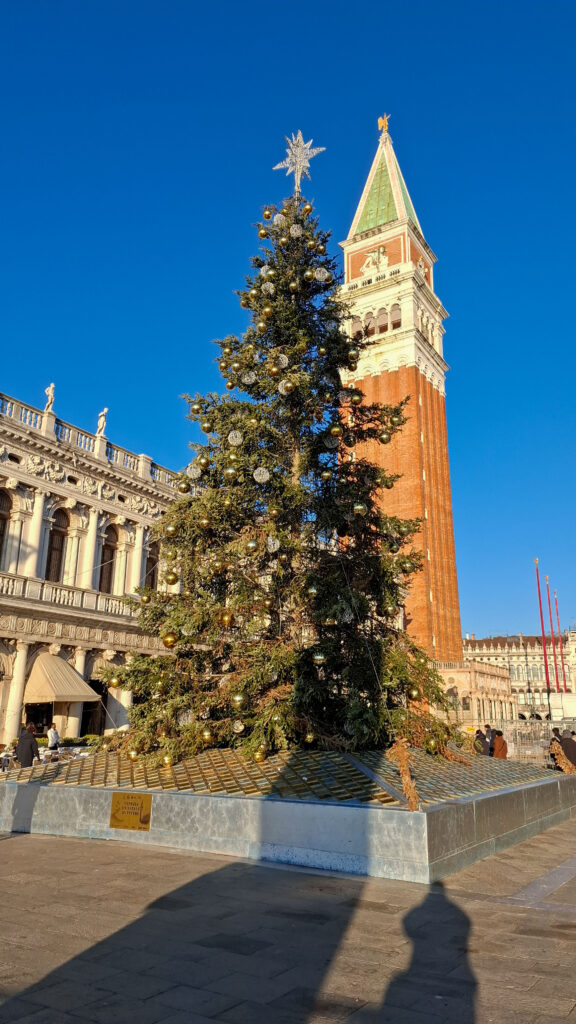 Weihnachtsbaum Piazza San Marco Venedig im Winter