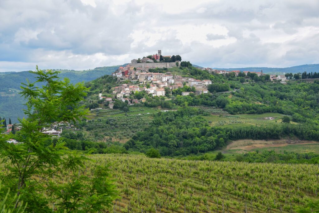 Motovun Istrien Frühling Kroatien