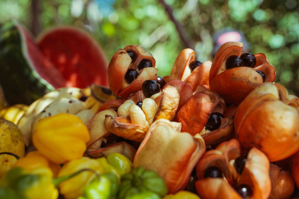 Jerk Chicken und Ackee - Kulinarik auf Jamaika 
