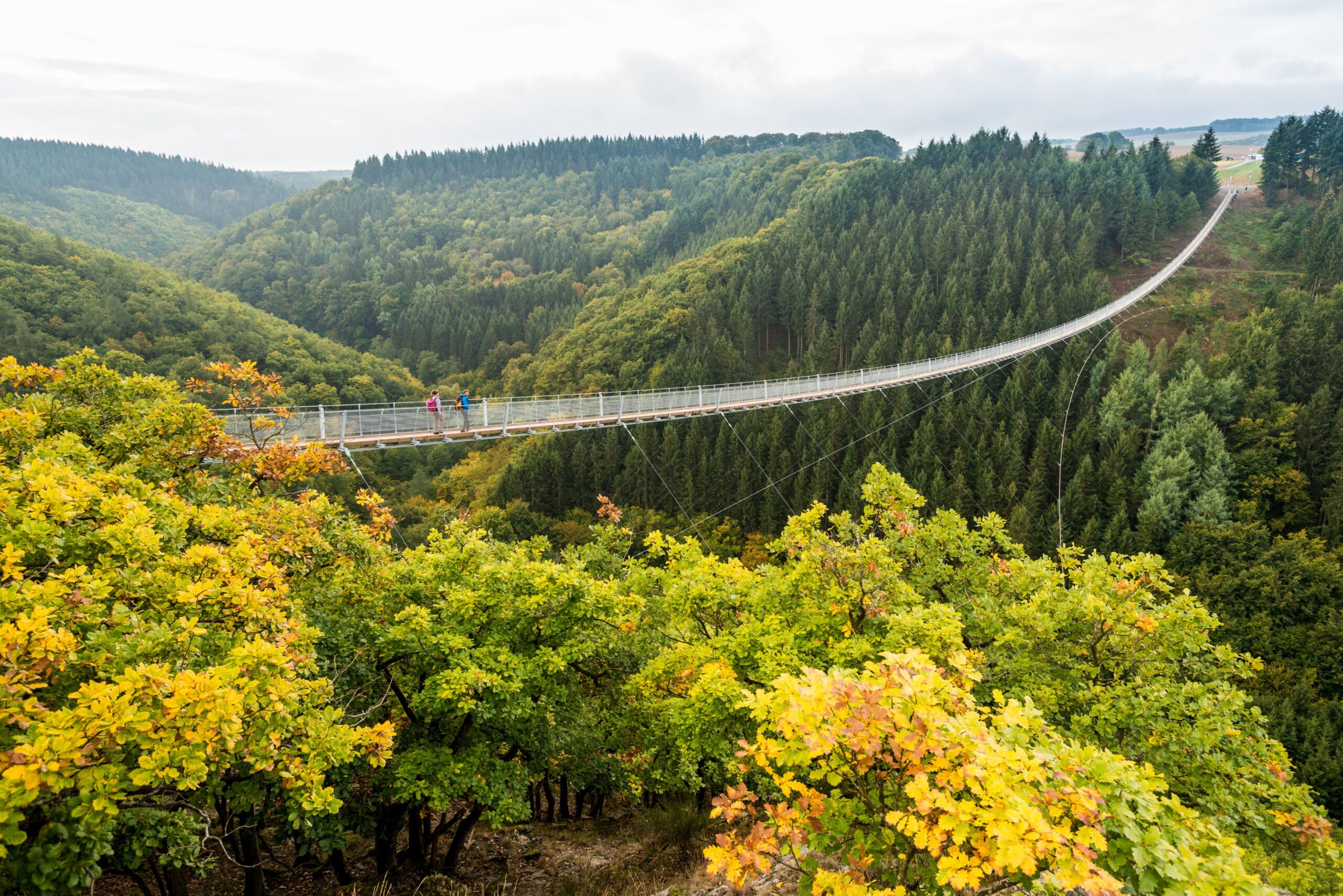 Wo Die Wildnis Ruft Urwald Erlebnisse Und Abenteuer Im Hunsr ck wo-die-wildnis-ruft-urwald-erlebnisse-und-abenteuer-im-hunsr-ck