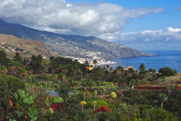 Kanaren Urwald Vulkane La Gomera La Palma Nationalparks