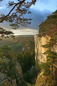 Jurafelsen in den Freibergen