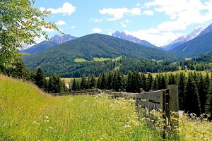 Südtiroler Almwiese im Hochpustertal: Zehn Heilkräuter auf einem Quadratmeter, Foto: Heiner Sieger