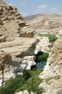 Wüste al Kalih