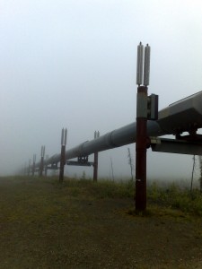 Pipeline im Nebel