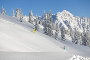 Tiefschnee Skifahrer
