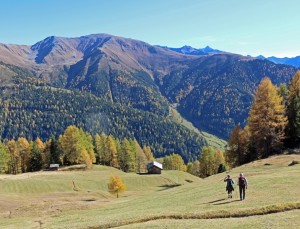 Natur pur im Tiroler Oberland. Foto: Kurt Kirschner