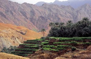 Oman verzaubert nicht nur Sonnen-Seelen… Orient